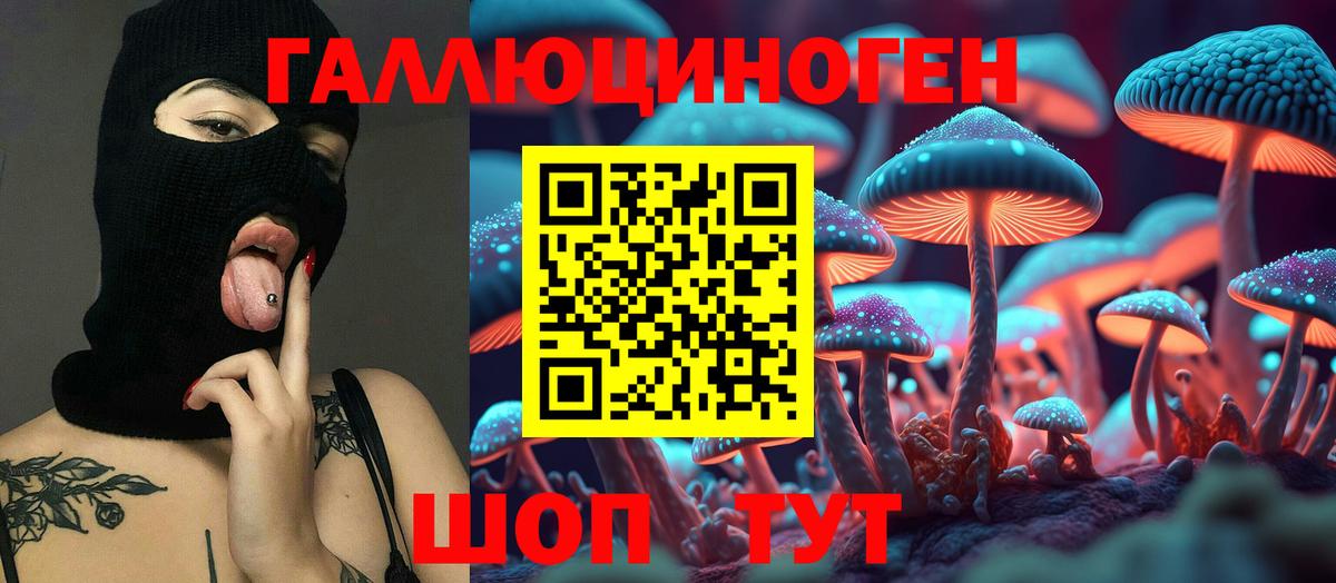 Галлюциногенные грибы Magic Shrooms Чернушка