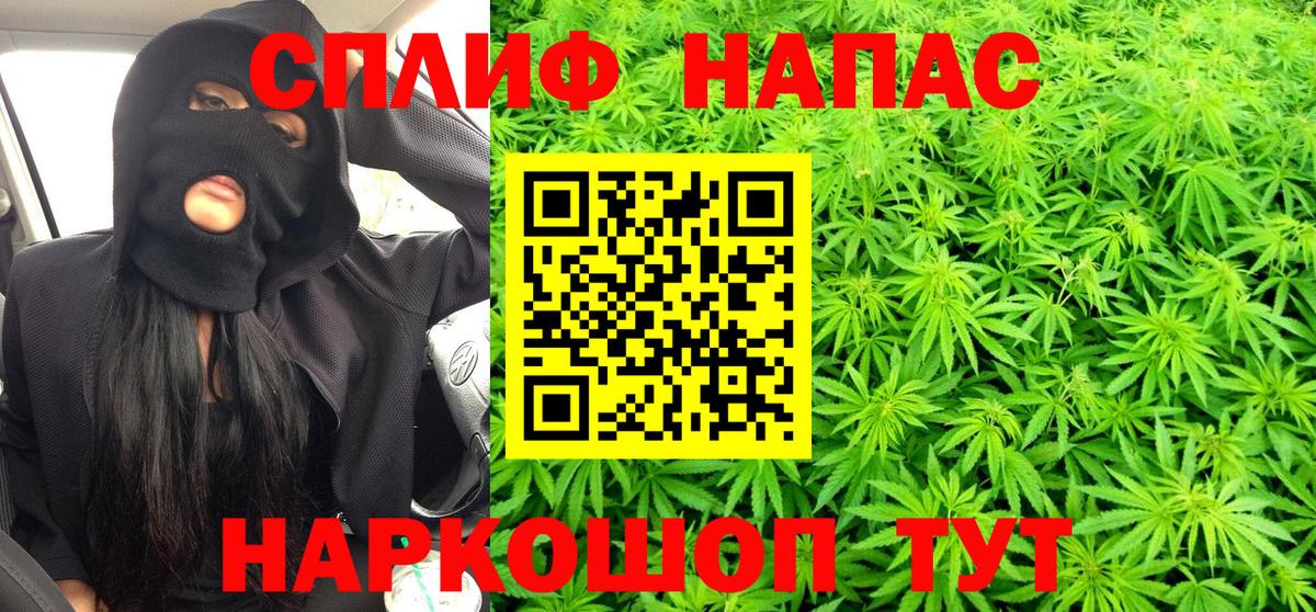 МАРИХУАНА планчик Чернушка